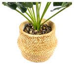 Planta-Mainstays-Artificial-Bonsai-Maceta-Beige-2-55383