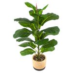 Planta-Mainstays-Artificial-Hoja-Roble-Maceta-1-55382