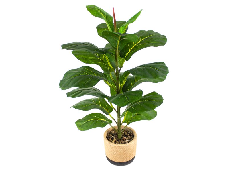 Planta-Mainstays-Artificial-Hoja-Roble-Maceta-1-55382