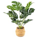 Planta-Mainstays-Artificial-Bonsai-Maceta-Beige-1-55383