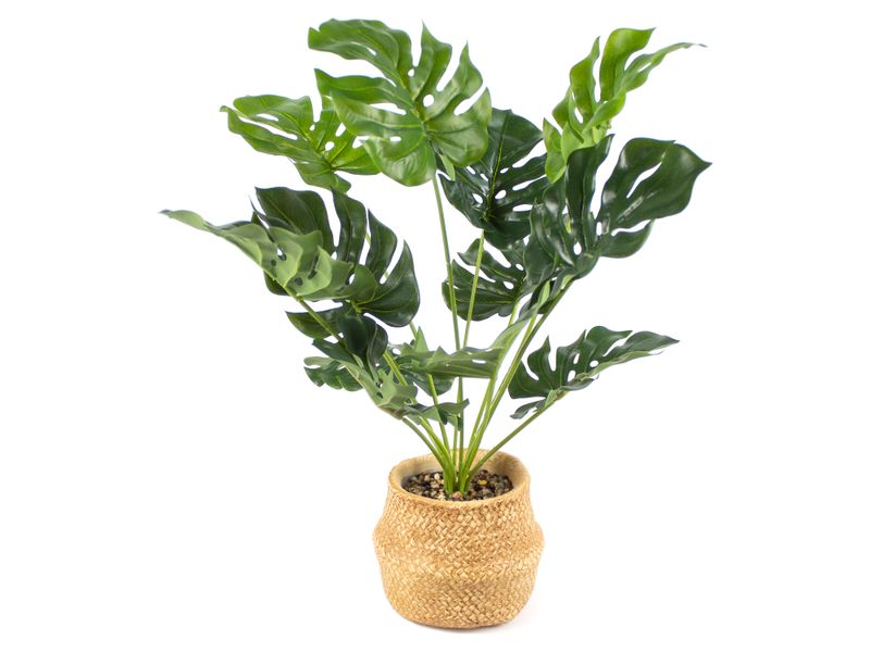 Planta-Mainstays-Artificial-Bonsai-Maceta-Beige-1-55383
