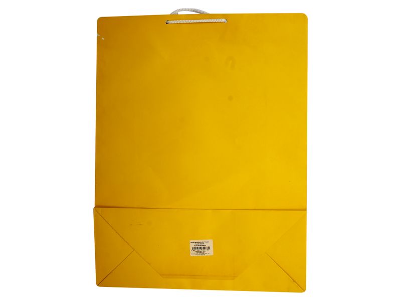 Bolsa-Mediana-Kraft-Color-1-29790