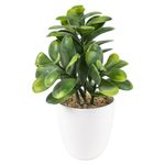 Planta-artificial-marca-Mainstays-Green-con-maceta-4-55384