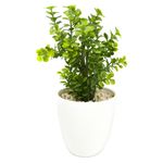 Planta-artificial-marca-Mainstays-Green-con-maceta-7-55384