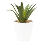 Planta-artificial-marca-Mainstays-Green-con-maceta-9-55384