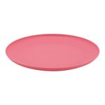 Plato-pl-stico-marca-Mainstays-100-polipropileno-10-5-pulgadas-2-58799
