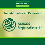 3-Pack-Jab-n-Palmolive-Naturals-Avena-y-Az-car-Morena-100gr-3-52210