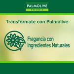 3-Pack-Jab-n-Palmolive-Naturals-Avena-y-Az-car-Morena-100gr-5-52210