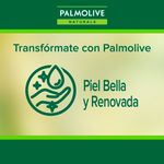 3-Pack-Jab-n-Palmolive-Naturals-Avena-y-Az-car-Morena-100gr-6-52210