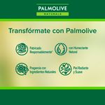 3-Pack-Jab-n-Palmolive-Naturals-Avena-y-Az-car-Morena-100gr-7-52210