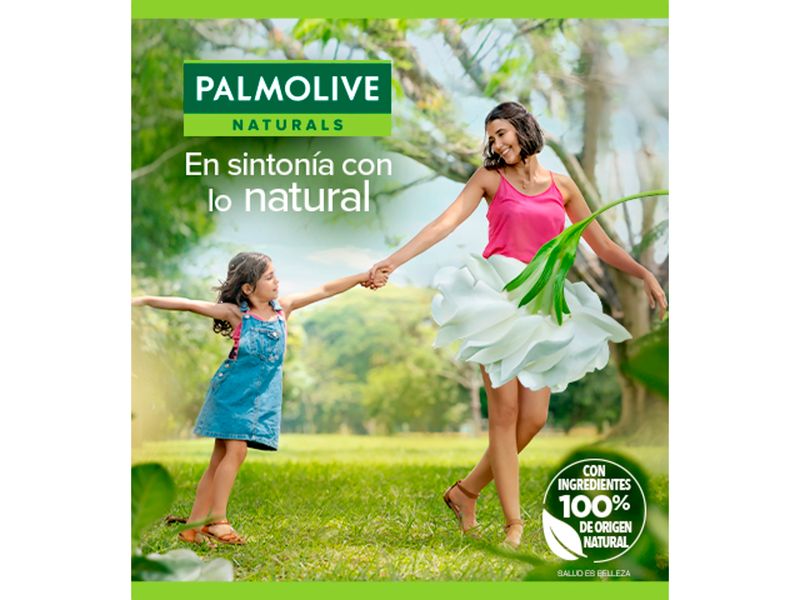 3-Pack-Jab-n-Palmolive-Naturals-Avena-y-Az-car-Morena-100gr-8-52210