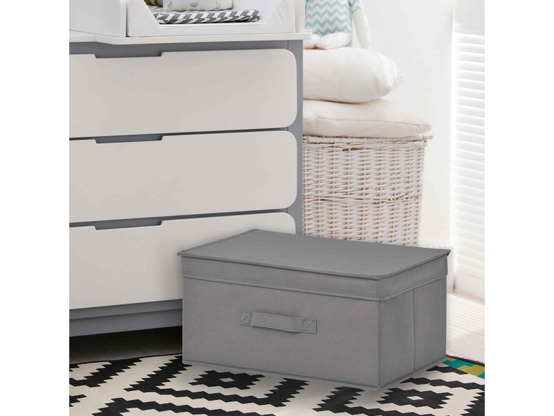 Cubo-Mainstays-Organizador-Con-Tapa-3-57249