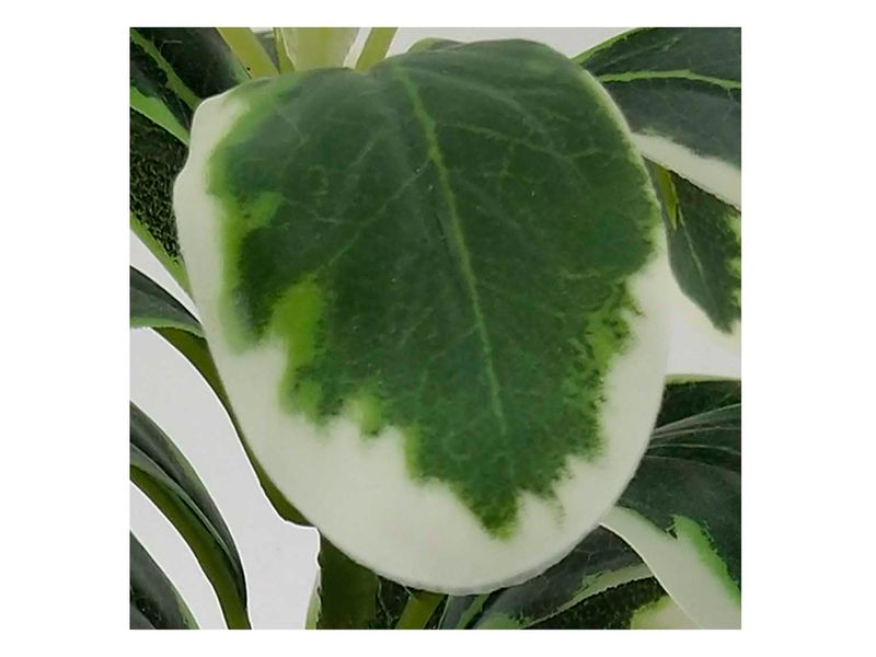 Planta-Mainstays-Artificial-Con-Canasta-19cm-2-56622