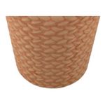 Planta-Mainstays-Tipo-Arbusto-Con-Canasta-16-5cm-3-56623