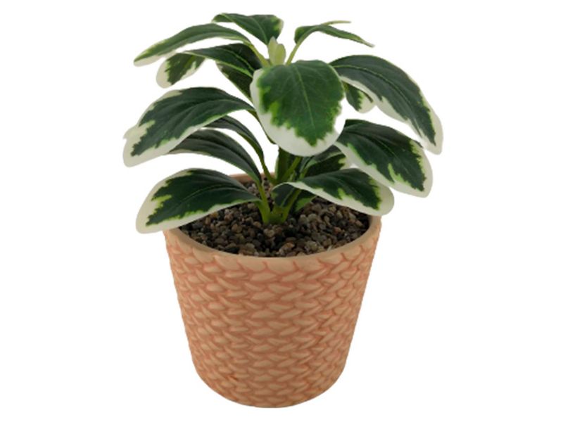 Planta-Mainstays-Artificial-Con-Canasta-19cm-1-56622