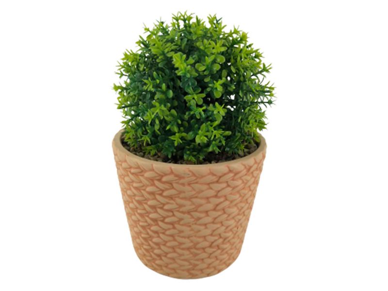 Planta-Mainstays-Tipo-Arbusto-Con-Canasta-16-5cm-1-56623