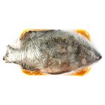 Mojarra-Tilapia-Con-Escama-Congelada-1Lb-2-44167