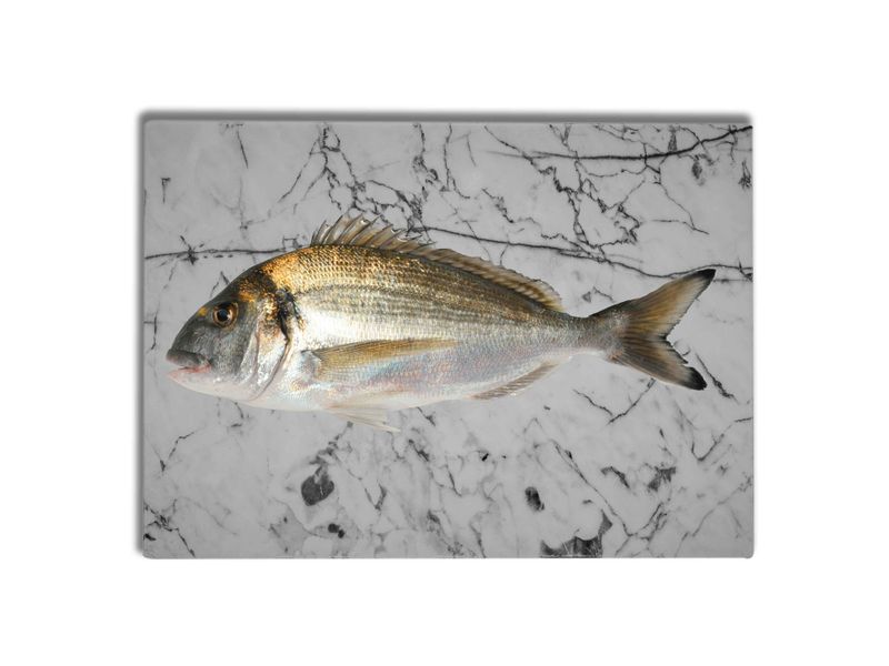 Mojarra-Tilapia-Con-Escama-Congelada-1Lb-3-44167