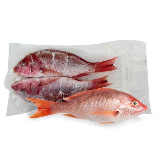 Pescado Pargo Sin Escamas Evis Mak Congelado Lb