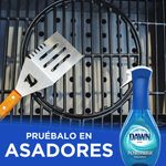 Lavaplatos-Marca-Dawn-Platinum-Powerwash-Aroma-Fresco-473ml-16-54923