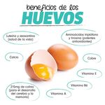 Huevo-Marca-Granjazul-Blancos-Grandes-60-Unidades-5-30888