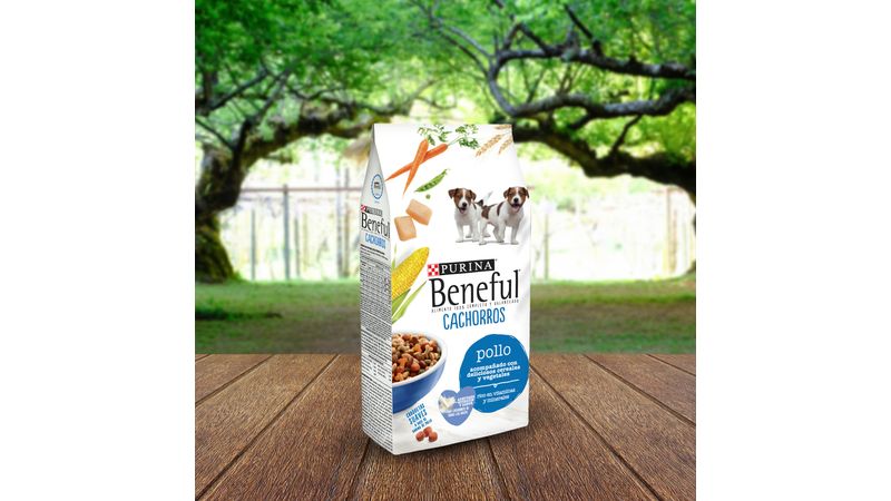 Beneful cachorro walmart sales