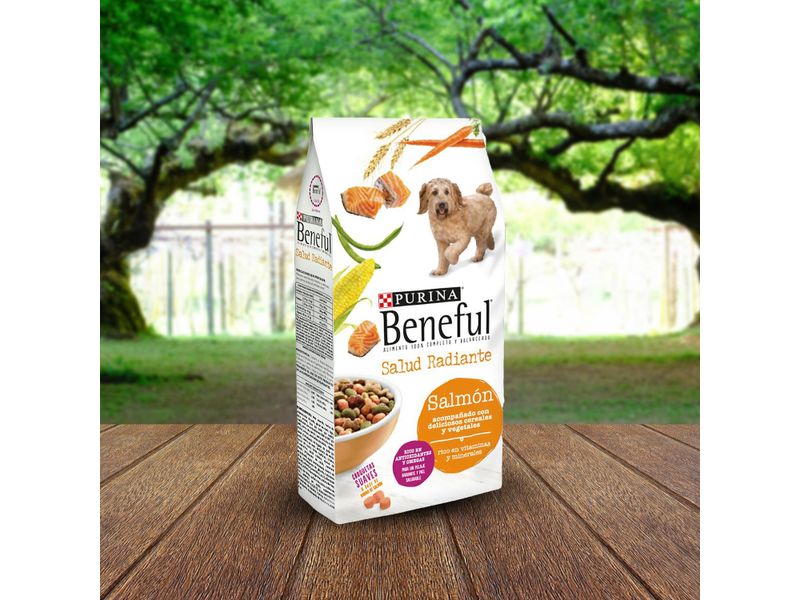 Alimento-Perro-Adulto-marca-Purina-Beneful-Salud-Radiante-Salm-n-2kg-7-36583