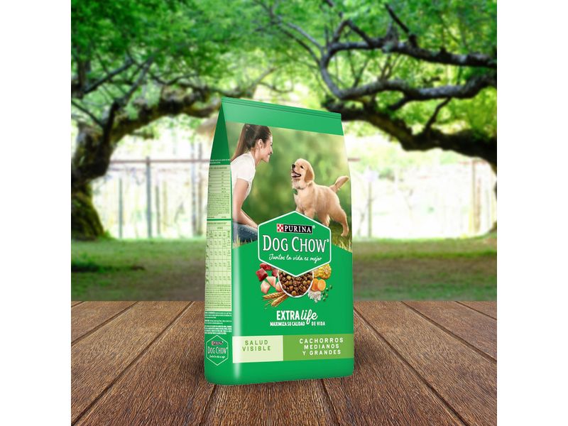 Alimento-Perro-Cachorro-marca-Purina-Dog-Chow-Medianos-y-Grandes-7-5kg-7-36602