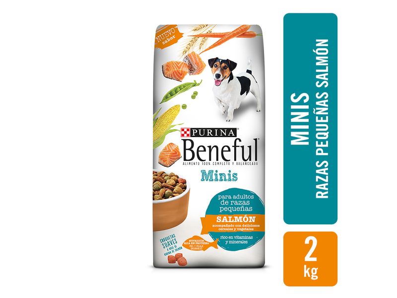 Alimento-Perro-Adulto-marca-Purina-Beneful-Minis-Salm-n-2kg-1-36603