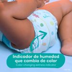 Pa-ales-Marca-Pampers-Baby-Dry-Talla-3-7-15kg-144Uds-12-5128