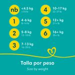 Pa-ales-Marca-Pampers-Baby-Dry-Talla-3-7-15kg-144Uds-13-5128