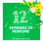 Perlas-Intensificadoras-De-Fragancia-Marca-Gain-Fireworks-Con-Aroma-Original-752g-7-54925