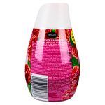 Aromatiz-Renuzit-Cono-Raspberry-198Gr-2-4329