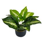 Maceta-Mainstays-cer-mica-con-planta-Modelo-KB222-102033-1-1-55865