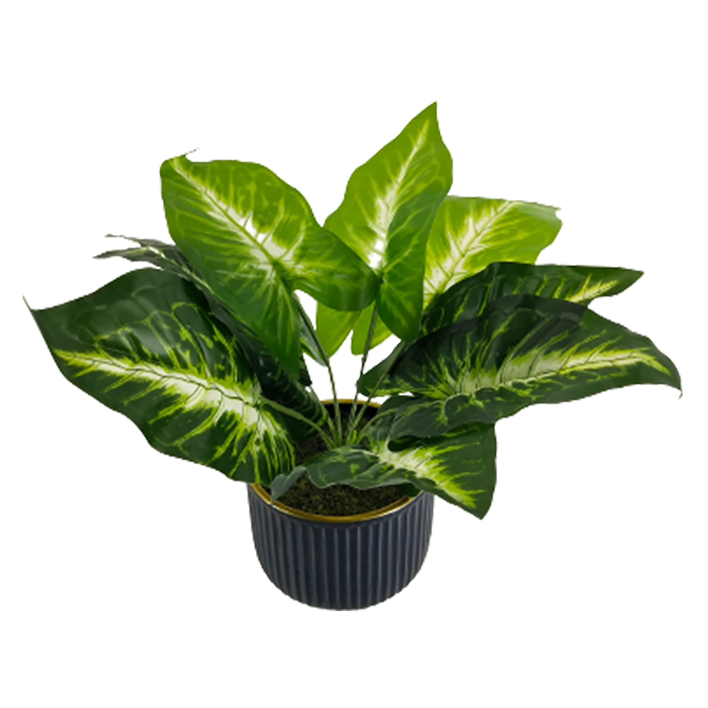 Maceta-Mainstays-cer-mica-con-planta-Modelo-KB222-102033-1-1-55865