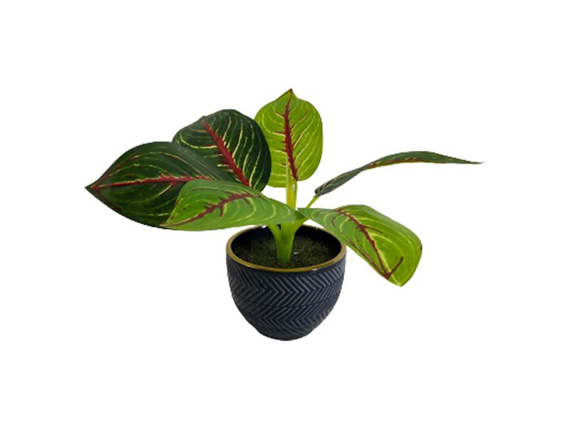 Maceta-Mainstays-cer-mica-con-planta-Modelo-KB222-102033-3-1-55866
