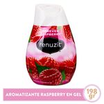 Aromatiz-Renuzit-Cono-Raspberry-198Gr-1-4329