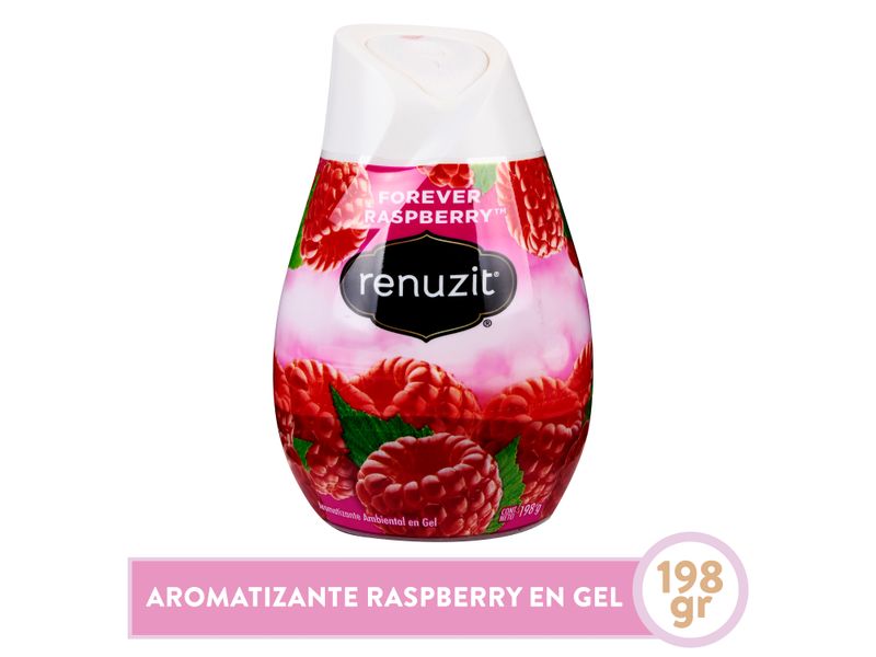 Aromatiz-Renuzit-Cono-Raspberry-198Gr-1-4329