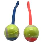 GTIN-7504309351618-02