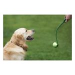 GTIN-7504309351618-05