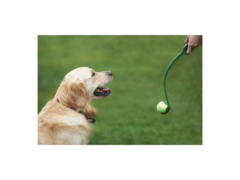 GTIN-7504309351618-05