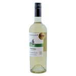 Vino-Marca-Morand-Pionero-Sauvignon-Blanco-750ml-2-40734