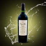 Vino-Marca-Cruz-Alta-Reserva-Cabernet-Sauvignon-750ml-6-40341