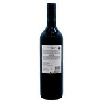 Vino-Marca-Mancura-Etnia-Carmen-re-750ml-4-40722