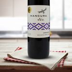 Vino-Marca-Mancura-Etnia-Carmen-re-750ml-5-40722