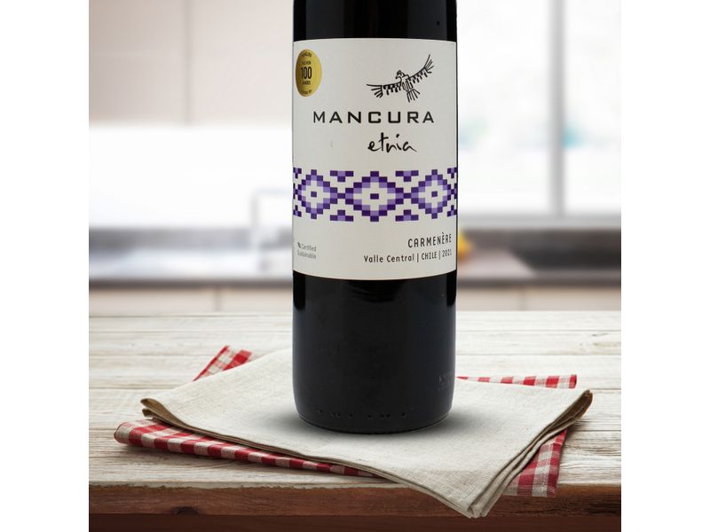 Vino-Marca-Mancura-Etnia-Carmen-re-750ml-5-40722