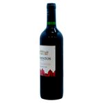 Vino-Marca-Tarapac-Sarmientos-Cabernet-Sauvignon-750ml-2-40702