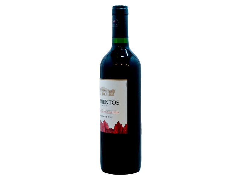 Vino-Marca-Tarapac-Sarmientos-Cabernet-Sauvignon-750ml-2-40702