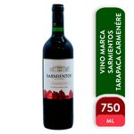 Vino-Marca-Sarmientos-Tarapaca-Carmen-re-750ml-1-40705