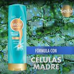 Acondicionador-Marca-Sedal-C-lulas-Madre-340ml-4-60238